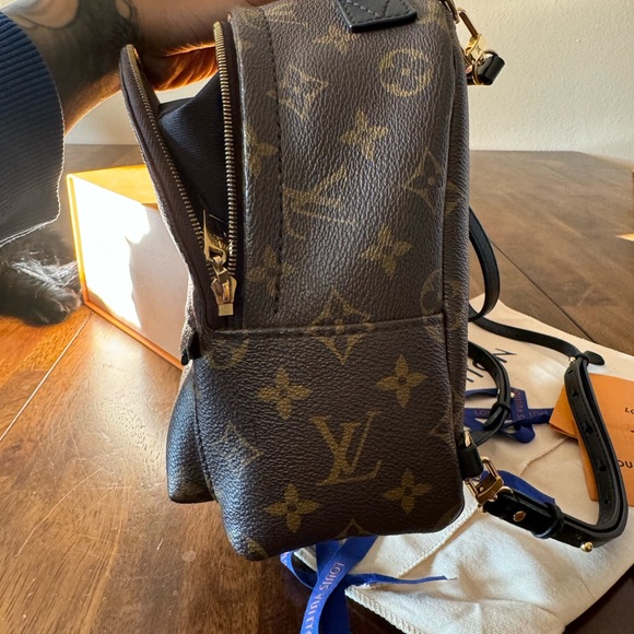 Louis Vuitton Palm Springs PM - Picture 10 of 15